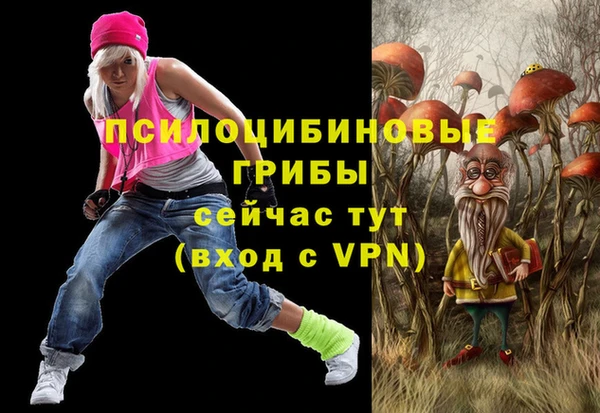 ECSTASY Навашино
