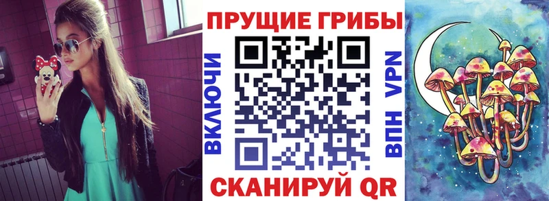 Галлюциногенные грибы ЛСД  площадка клад  Олонец 